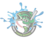 South Florida Baseball League SFBL
